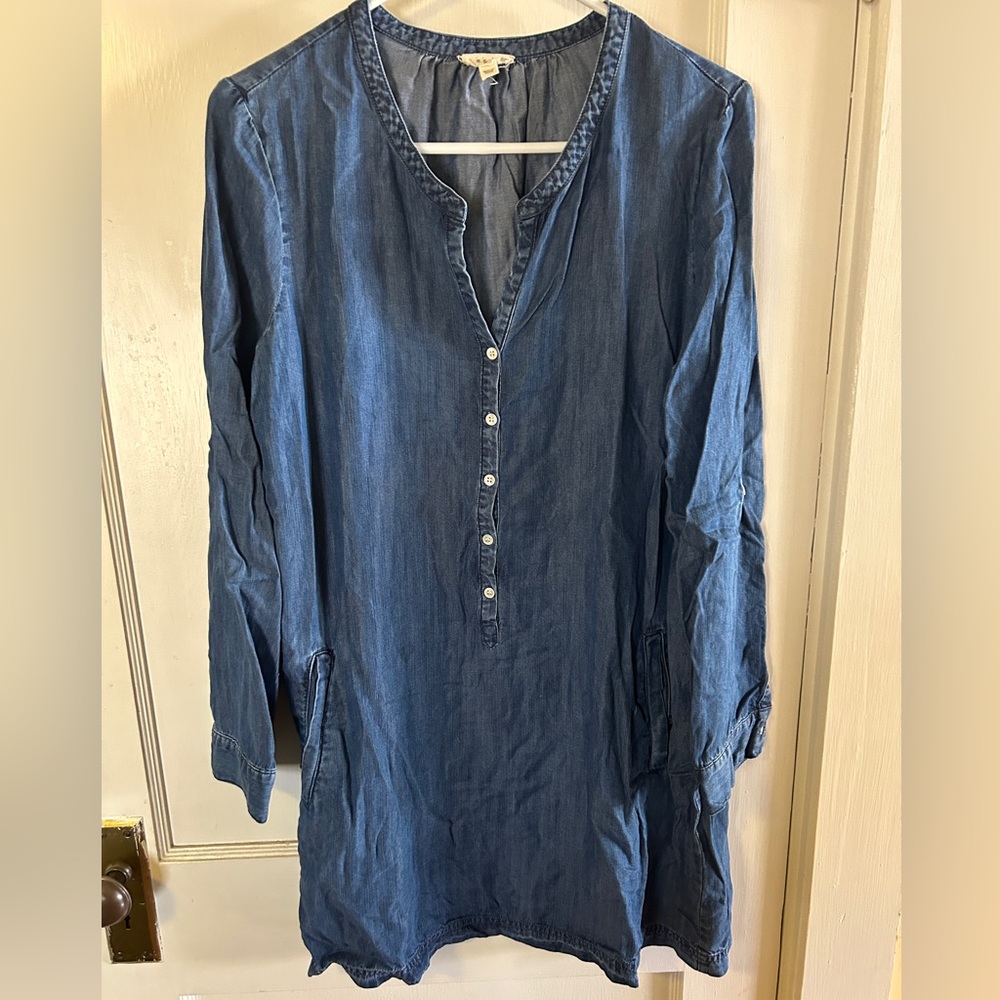 Soft Joie chambray dress
